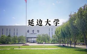 2024延边大学录取分数线：青海最低420分