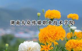 2024湖南大众传媒职业技术学院录取分数线：江苏最低414分