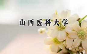 山西医科大学2024在山西录取分数线是多少？最低482分/最高594分