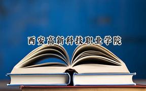 2024西安高新科技职业学院录取分数线：宁夏最低318分