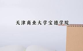 天津商业大学宝德学院2024在天津录取分数线是多少？最低491分/最高506分