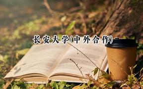 2024长安大学(中外合作)录取分数线：山西最低548分