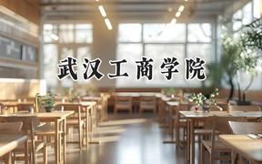 武汉工商学院2024在贵州录取分数线是多少？最低264分/最高494分