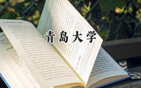 2024青岛大学录取分数线：新疆最低391分