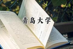 2024青岛大学录取分数线：新疆最低391分
