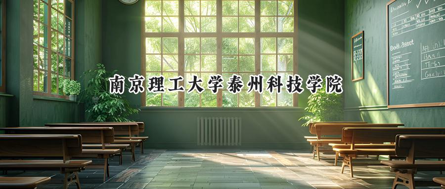 南京理工大学泰州科技学院