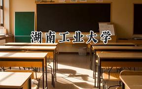 湖南工业大学2024在天津录取分数线是多少？最低540分/最高556分