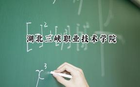 湖北三峡职业技术学院2024在四川录取分数线是多少？最低419分/最高467分