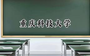 2024重庆科技大学录取分数线：青海最低373分