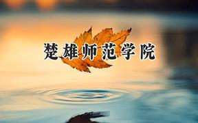 楚雄师范学院2024在浙江录取分数线是多少？最低516分/最高572分