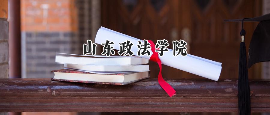 山东政法学院