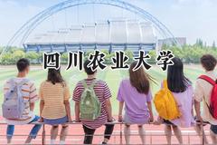 四川农业大学2024在天津录取分数线是多少？最低586分/最高605分