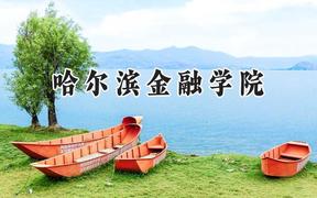 哈尔滨金融学院2024在辽宁录取分数线是多少？最低463分/最高561分