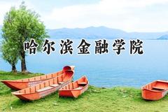 哈尔滨金融学院2024在辽宁录取分数线是多少？最低463分/最高561分