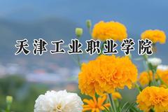 天津工业职业学院2024在天津录取分数线是多少？最低196分/最高208分