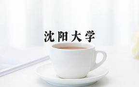 沈阳大学2024在辽宁录取分数线是多少？最低441分/最高552分