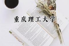 重庆理工大学2024在上海录取分数线是多少？最低449分/最高461分