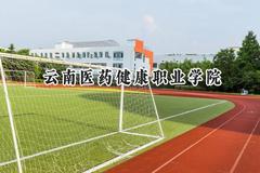 云南医药健康职业学院2024在浙江录取分数线是多少？最低410分/最高574分