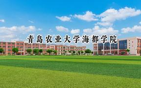 2024青岛农业大学海都学院录取分数线：天津最低229分