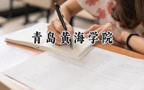 青岛黄海学院2024在山西录取分数线是多少？最低201分/最高439分