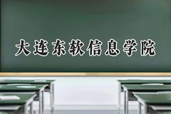 2024大连东软信息学院录取分数线：天津最低466分