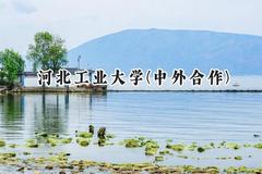 2024河北工业大学(中外合作)录取分数线：山西最低550分