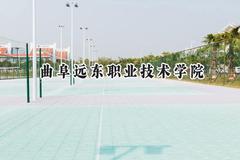曲阜远东职业技术学院2024在重庆录取分数线是多少？最低247分/最高341分