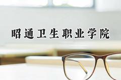 昭通卫生职业学院2024在重庆录取分数线是多少？最低315分/最高426分