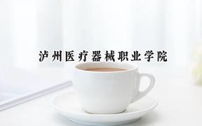 泸州医疗器械职业学院2024在贵州录取分数线是多少？最低274分/最高383分