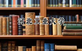 2024河北工业大学录取分数线：新疆最低483分