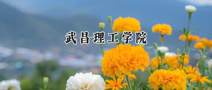 武昌理工学院