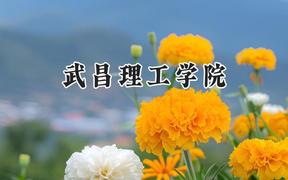 武昌理工学院2024在江苏录取分数线是多少？最低464分/最高487分
