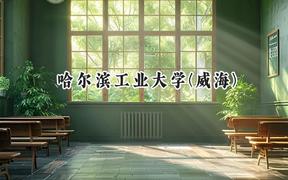 哈爾濱工業(yè)大學(xué)(威海)2024在上海錄取分?jǐn)?shù)線是多少？最低573分/最高574分