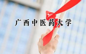 广西中医药大学2024在浙江录取分数线是多少？最低480分/最高620分