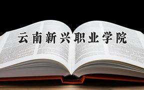 2024云南新兴职业学院录取分数线：青海最低218分