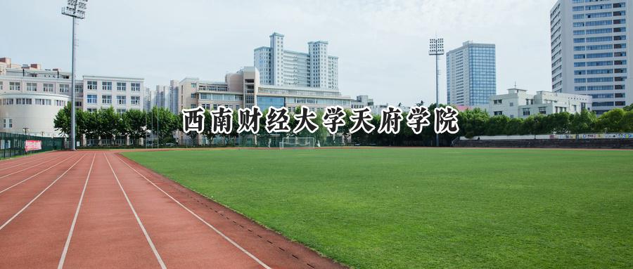 西南财经大学天府学院