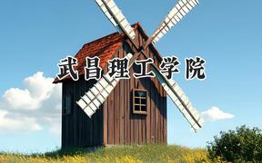 武昌理工学院2024在浙江录取分数线是多少？最低382分/最高557分