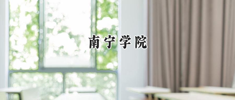 南宁学院