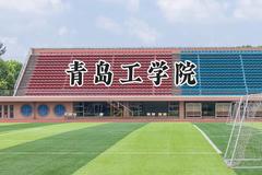 青岛工学院2024在辽宁录取分数线是多少？最低407分/最高456分
