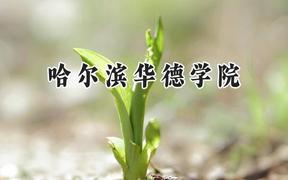 哈尔滨华德学院2024在天津录取分数线是多少？最低438分/最高468分