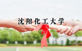 2024沈阳化工大学录取分数线：宁夏最低424分