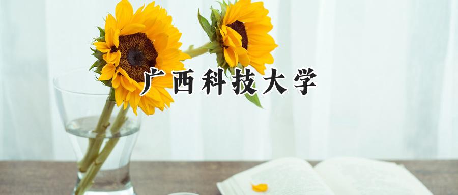 广西科技大学