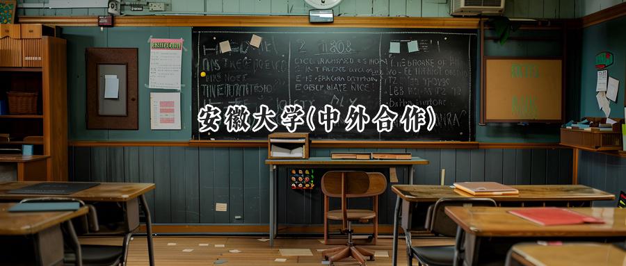 安徽大学(中外合作)