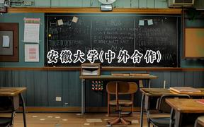 2024安徽大学(中外合作)录取分数线：山西最低553分