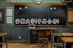 2024安徽大学(中外合作)录取分数线：山西最低553分