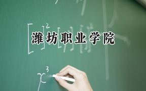 潍坊职业学院2024在内蒙古录取分数线是多少？最低266分/最高327分