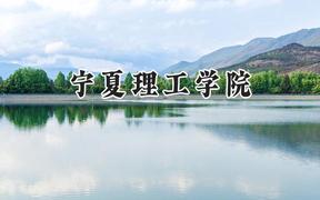宁夏理工学院2024在浙江录取分数线是多少？最低460分/最高540分