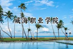 2024威海职业学院录取分数线：山西最低316分