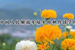 2024中国人民解放军陆军特种作战学院录取分数线：江苏最低575分