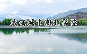 武汉城市职业学院2024在浙江录取分数线是多少？最低269分/最高507分